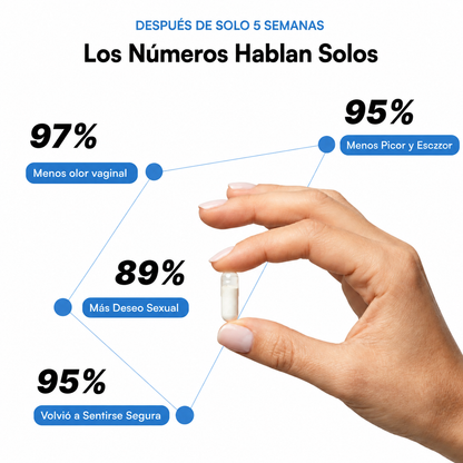 Calmora™ | Siéntete cómoda ahí abajo. Y en todas partes.