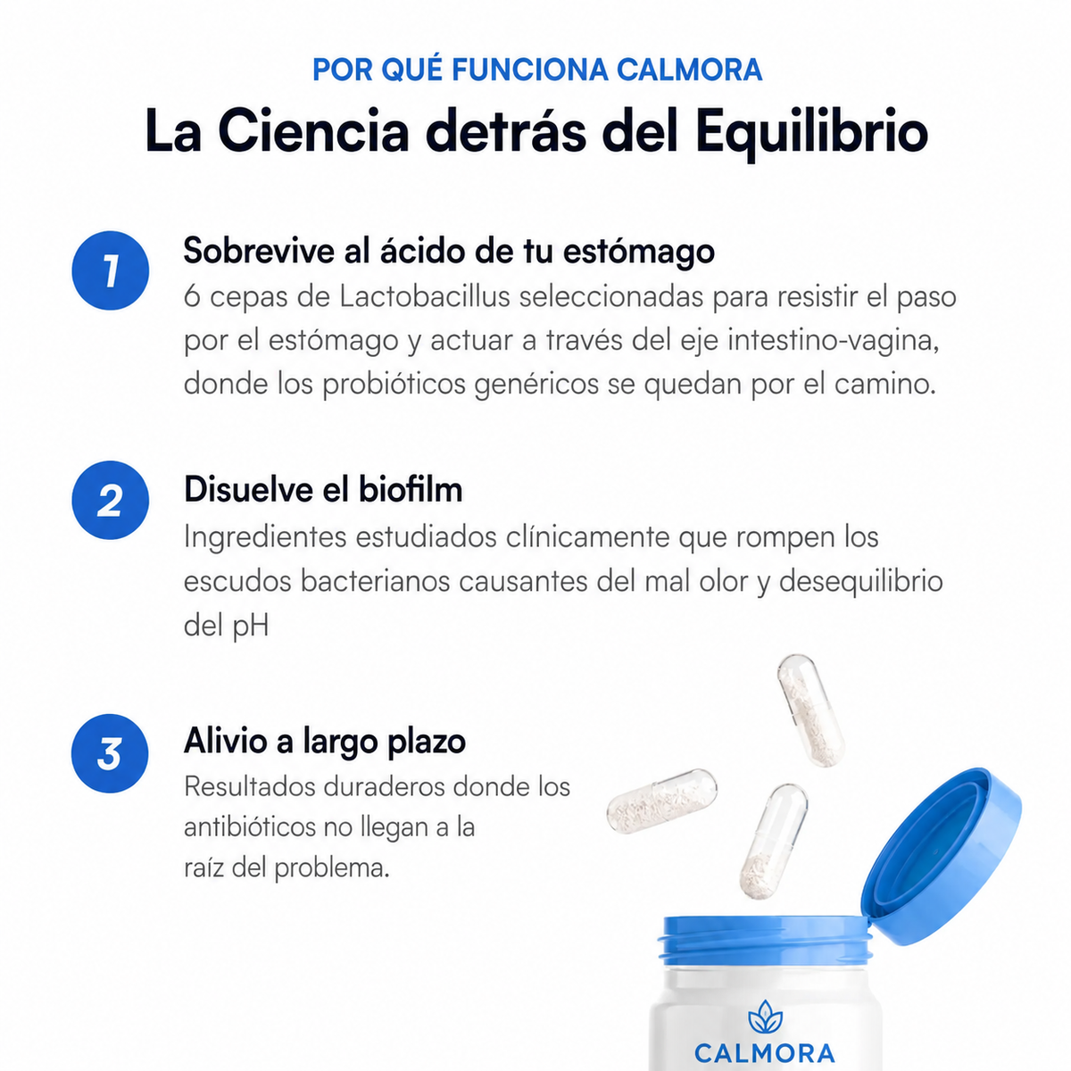 Calmora™ | Siéntete cómoda ahí abajo. Y en todas partes.