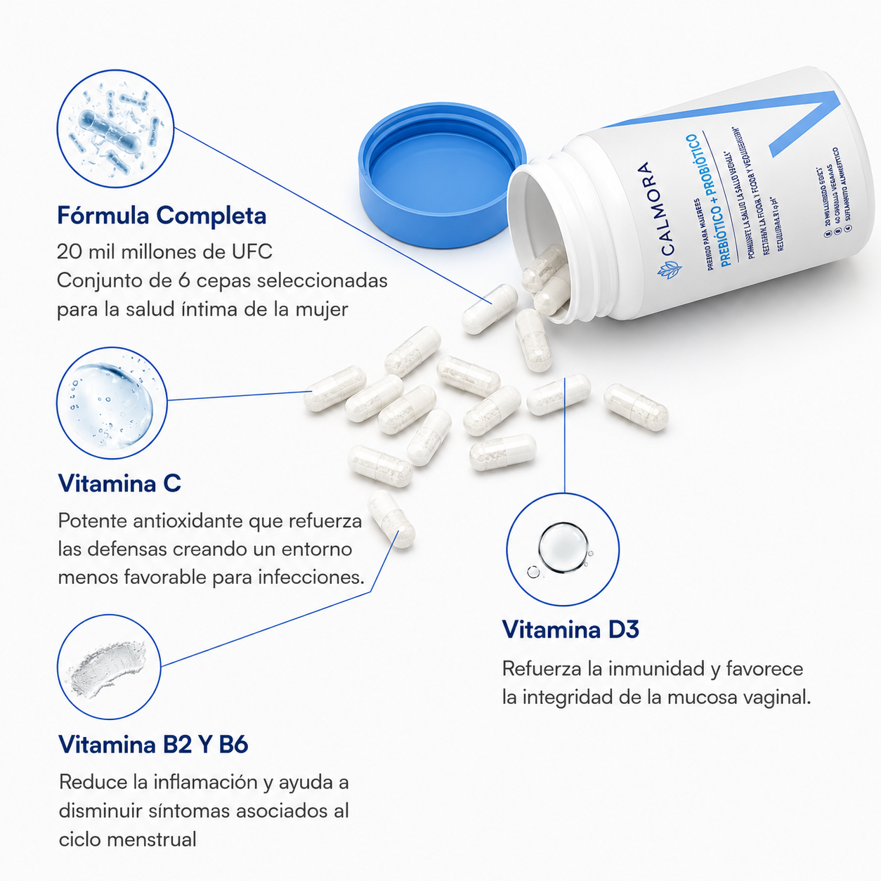 Calmora™ | Siéntete cómoda ahí abajo. Y en todas partes.